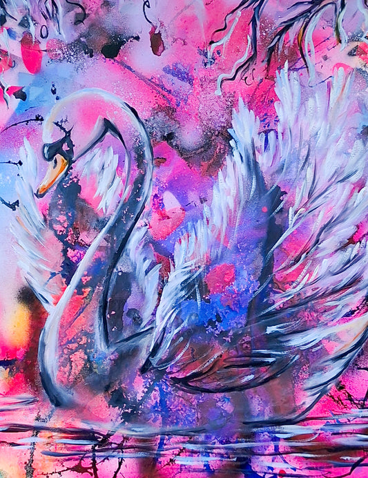 Swan No. 81 (Pink-Blue)
