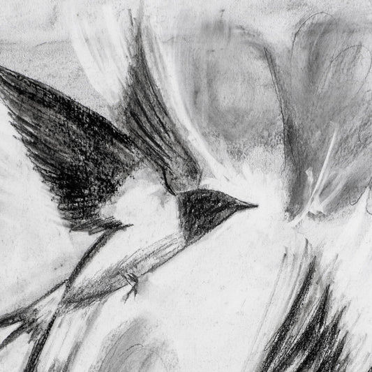 Swallows Dance; Charcoal