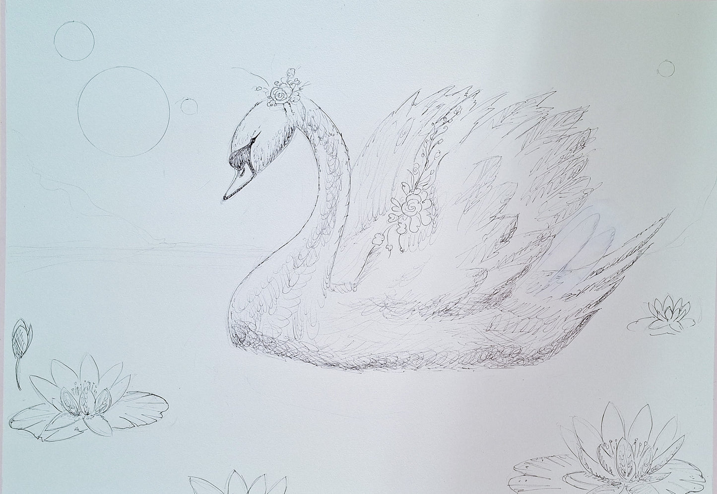 Swan No. 82 (Blue-Pink)