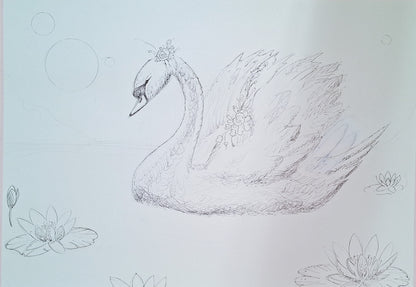 Swan No. 82 (Blue-Pink)