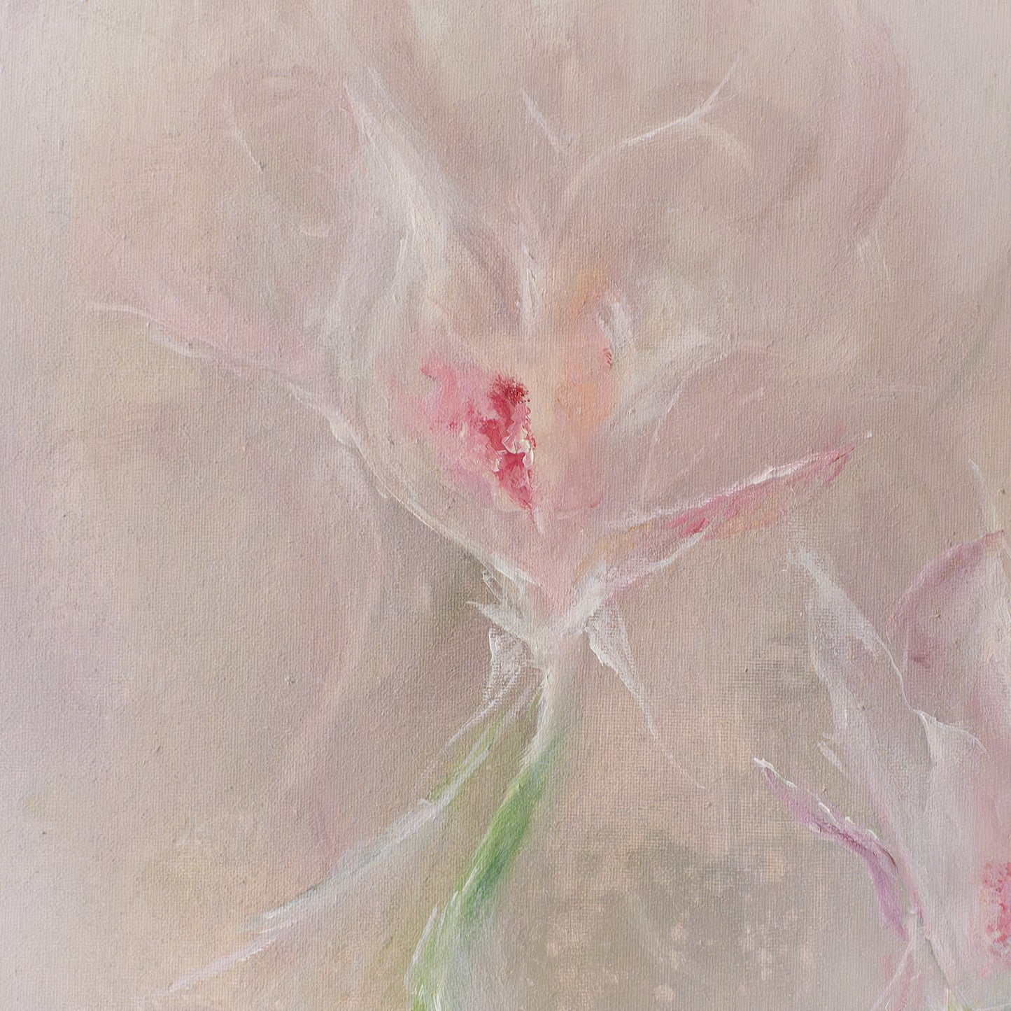 Flower No. 6
