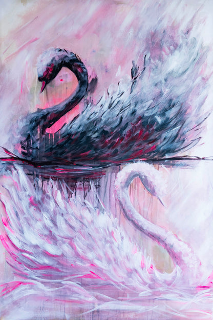 Swan No. 79 (Black-Pink)