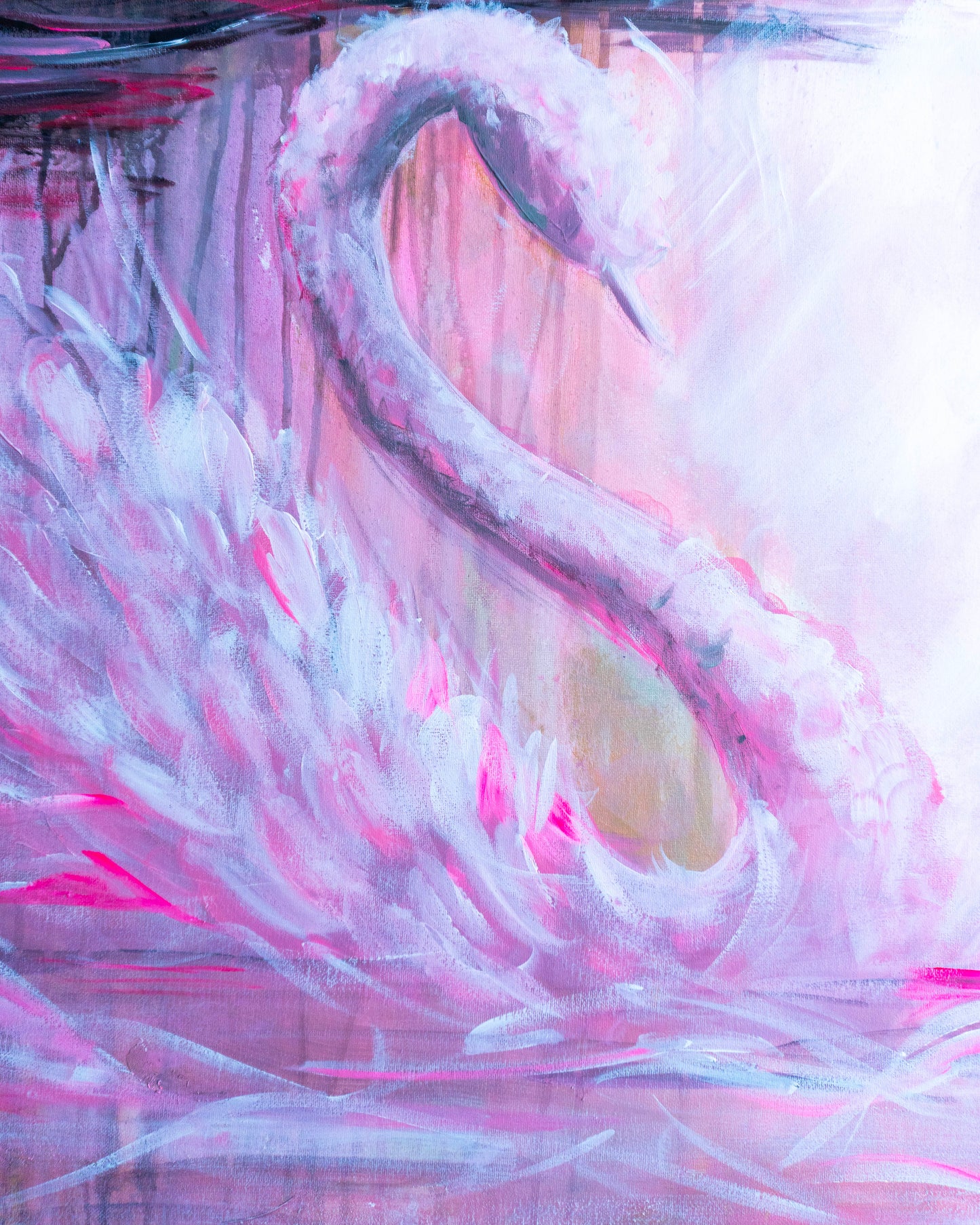 Swan No. 79 (Black-Pink)