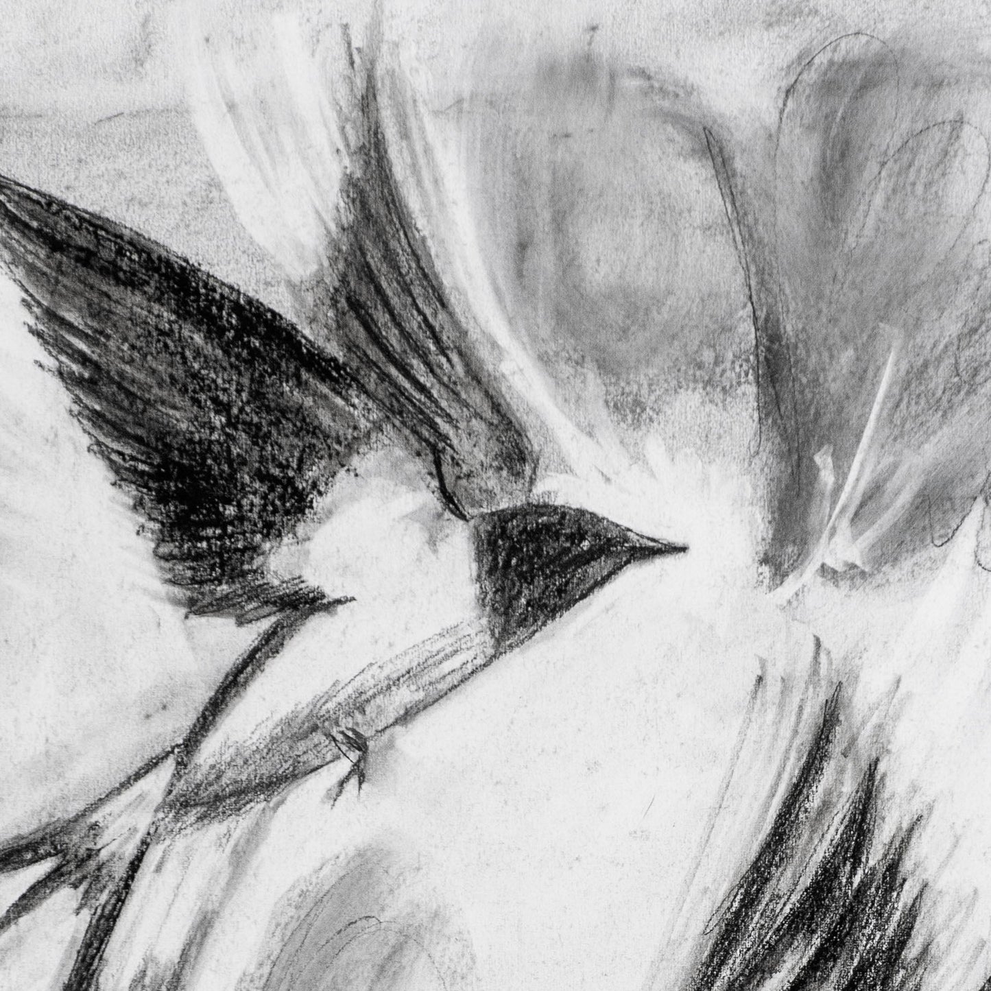Swallows Dance; Charcoal