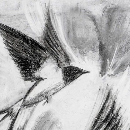 Swallows Dance; Charcoal