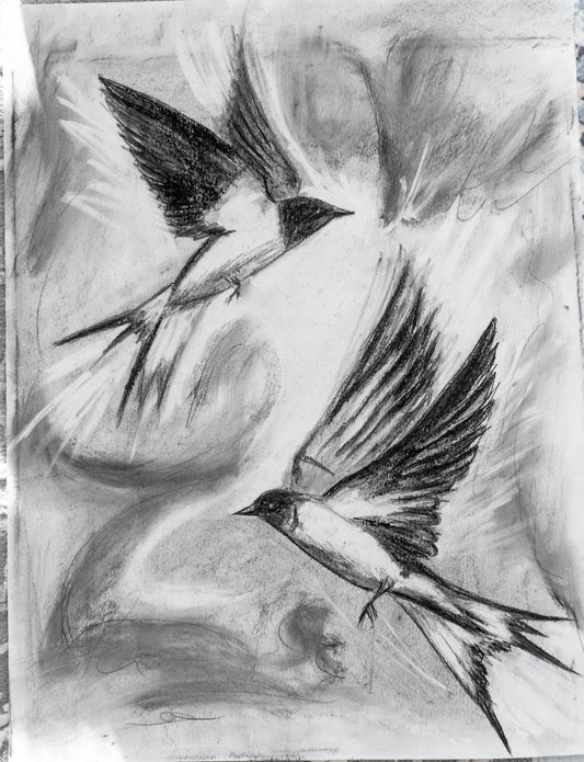 Swallows Dance; Charcoal