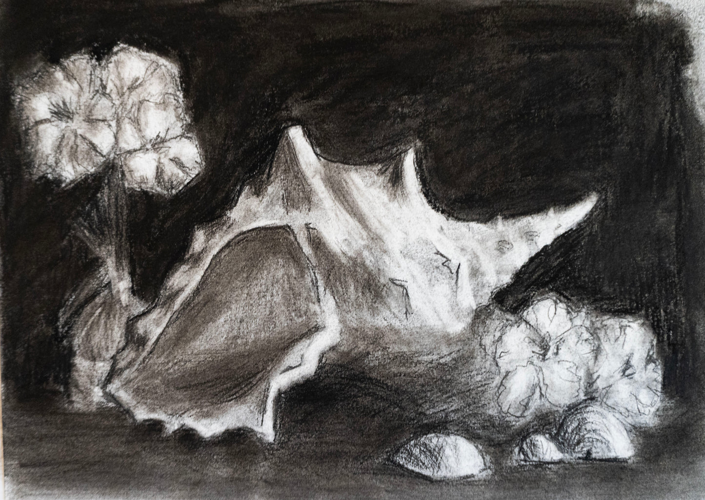 Still life in Charcoal