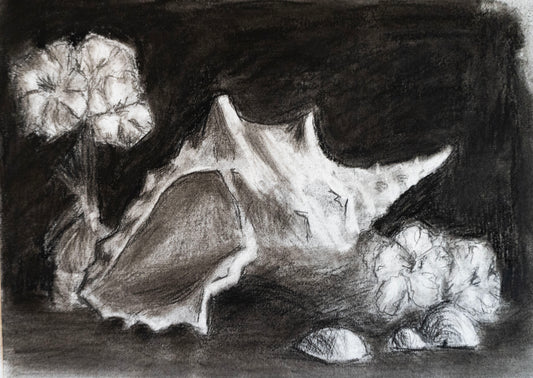 Still life in Charcoal