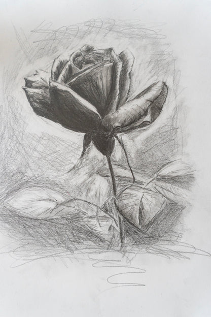 Rose in Graphite