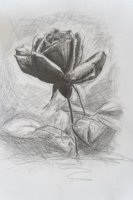 Rose in Graphite