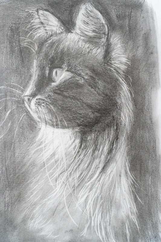 Black Cat in Graphite
