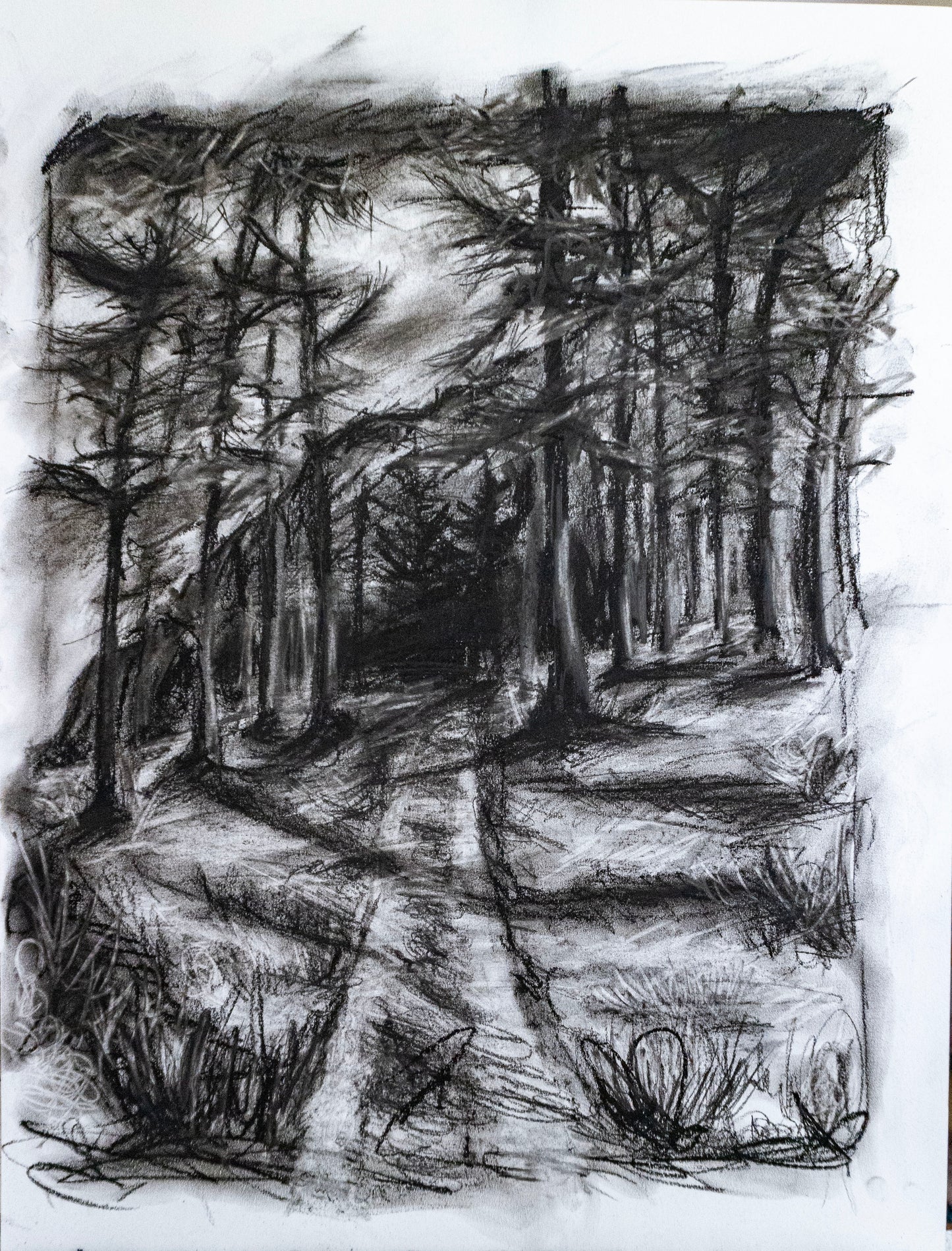 Forest of Grisons in Charcoal