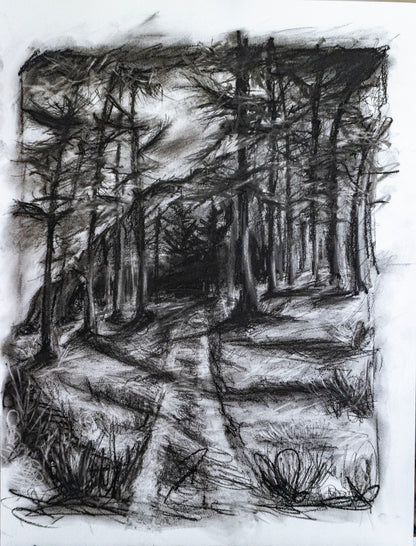 Forest of Grisons in Charcoal
