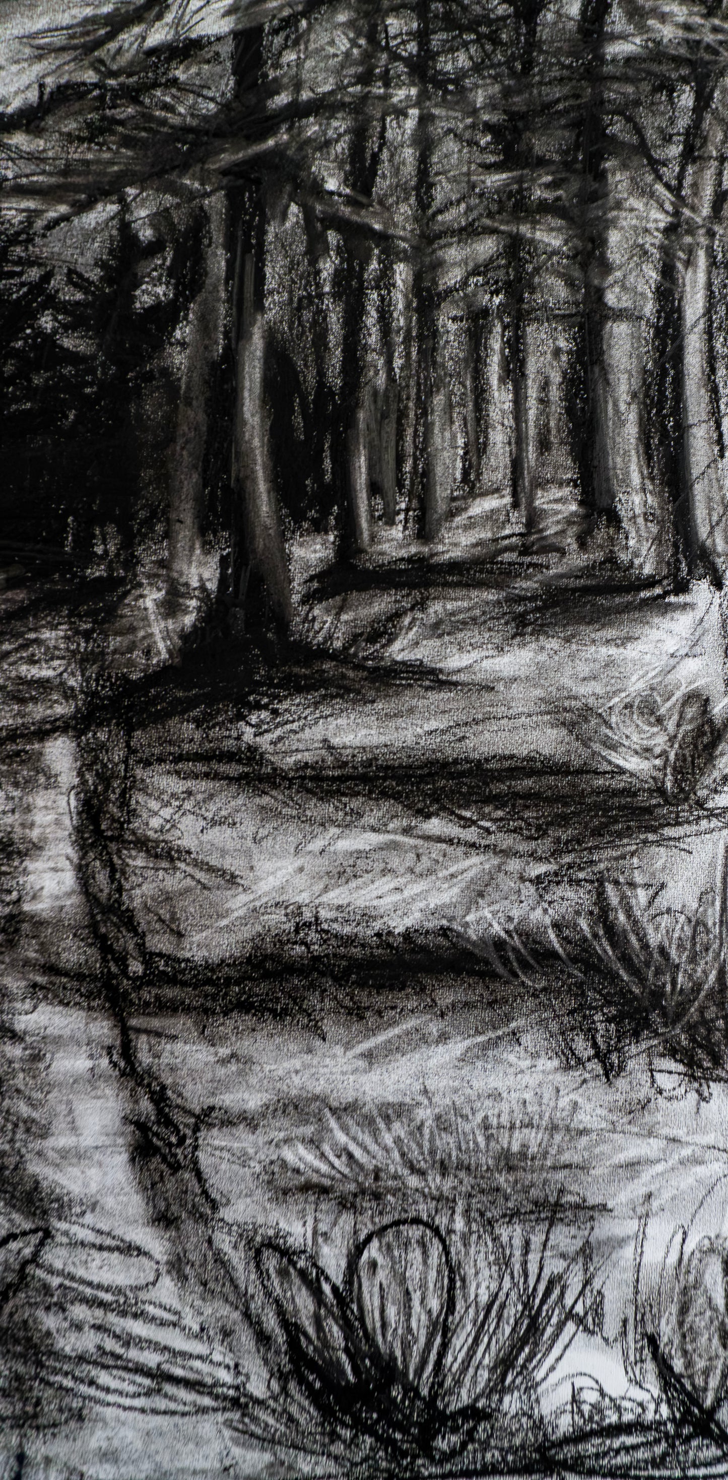 Forest of Grisons in Charcoal