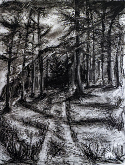 Forest of Grisons in Charcoal