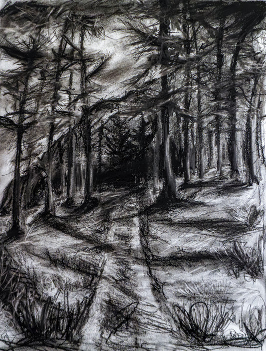 Forest of Grisons in Charcoal