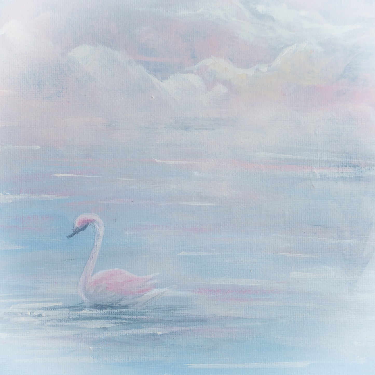 Swan No. 62 (Blue-Pink)